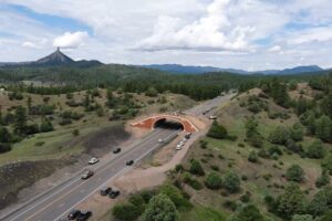 Drone Footage Of A Colorado Wildlife Crossing. Credit: Tony Cady/CDOT