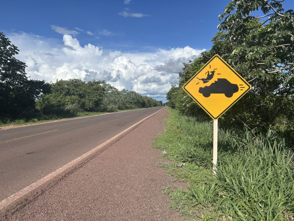 Wildlife warning sign, Brazil 262. CLLC photo