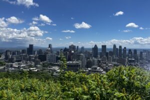 Montreal From Mont Royal (g Oppler)