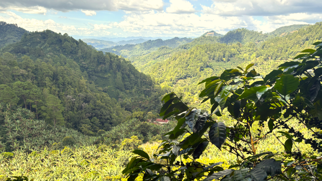 Trifinio-Fraternidad Transboundary Biosphere Reserve