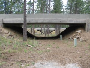 Wildlife Passage Structure On Highway 97 In Central Oregon. Credit Simon Wray Odfw (1)