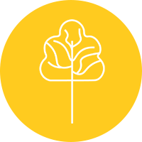Icon Implementation